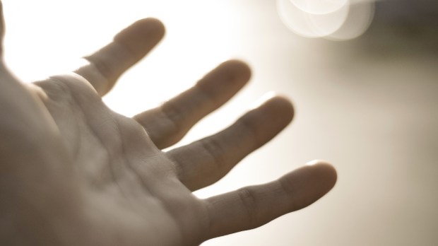 hand-Cristian Bernal-cc-1440×600