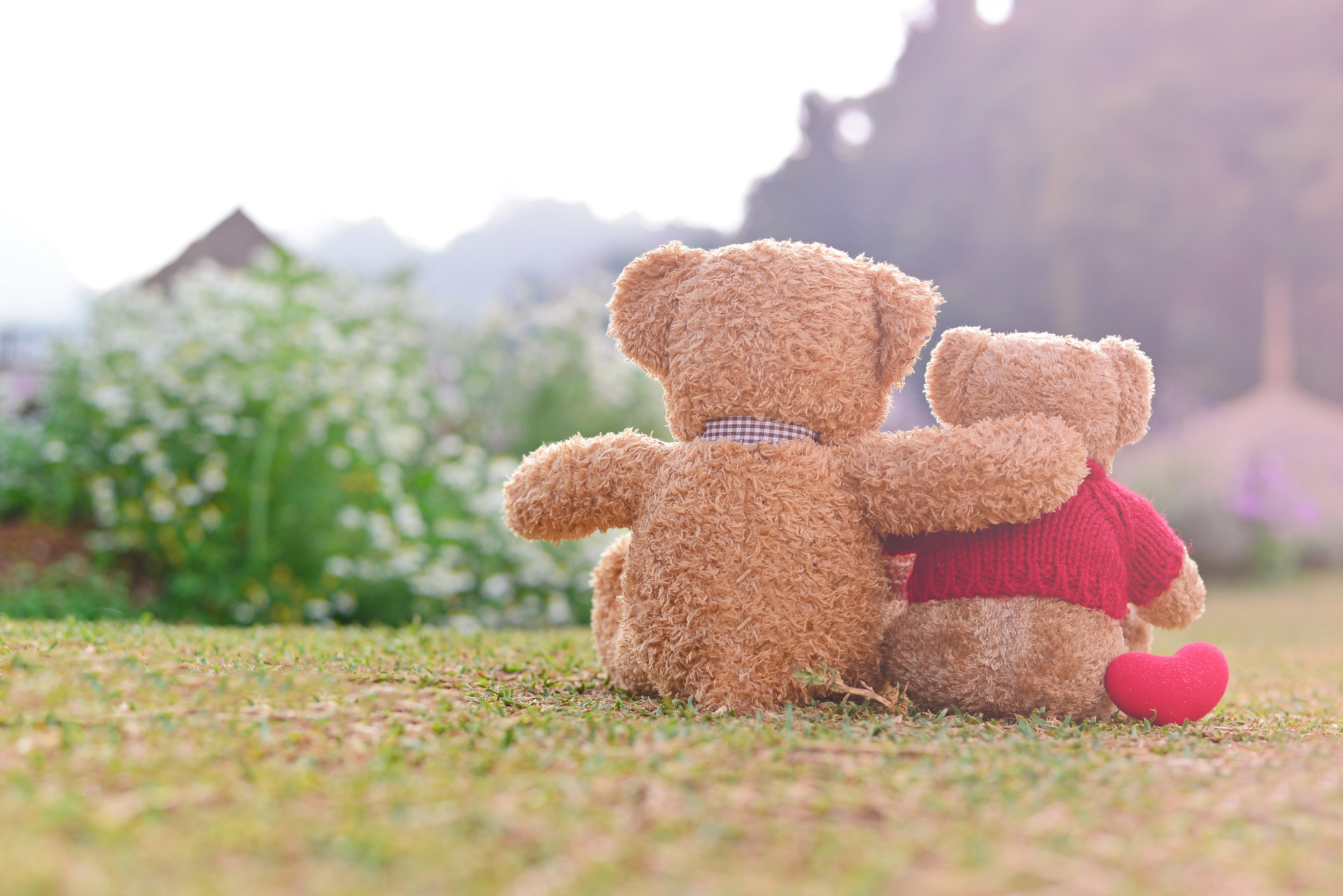 Teddy bears sitting on the beautiful garden with love. Concept about love and relationship