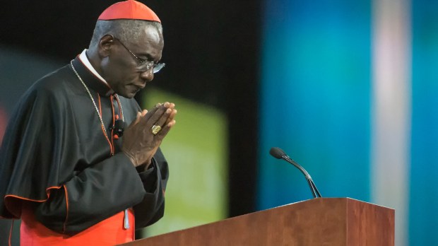 Cardinal Robert Sarah