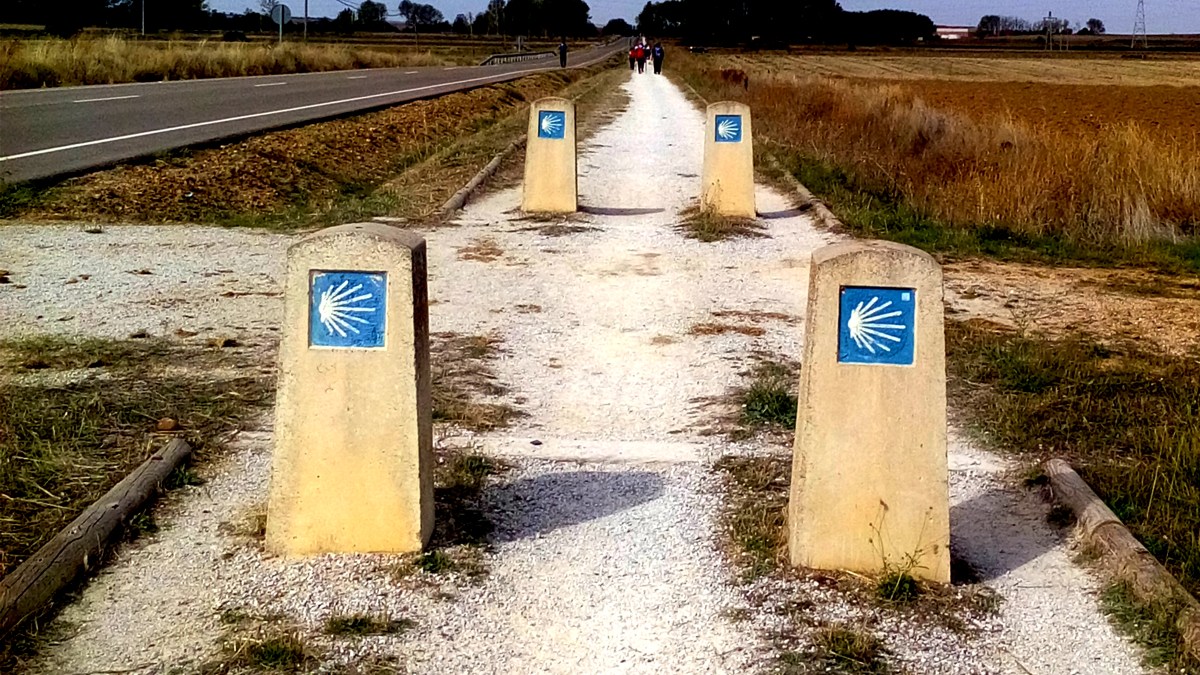 WEB SANTIAGO COMPOSTELLA DROGA PIELGRZYMKA Piotr Bogdanowicz