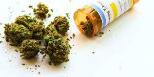 Czy katolik może popierać legalizację marihuany?