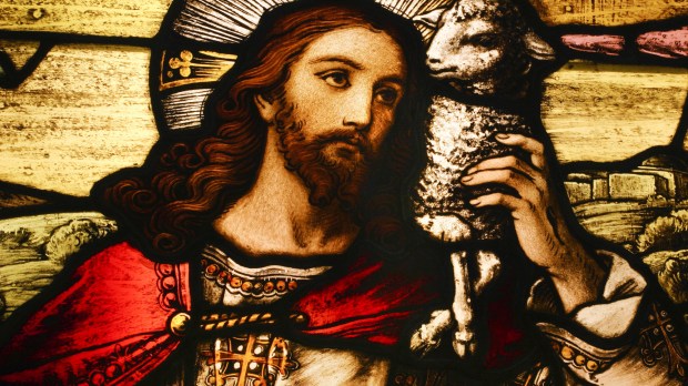 Stained glass depicting Jesus holding a lamb