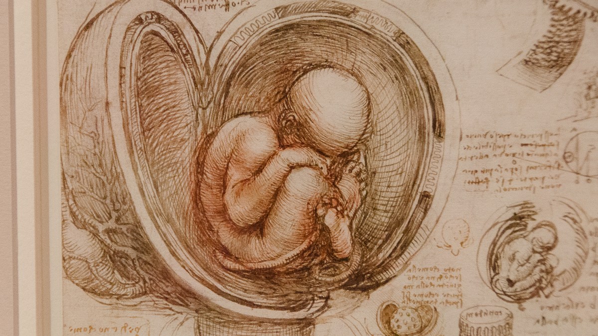 web-leonardo-da-vinci-plod-eric-atkins-flickr-cc