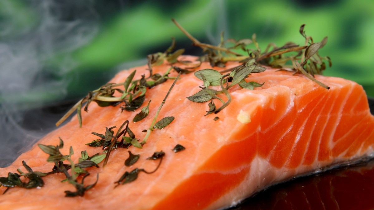 web-losos-ryba-post-grill-pexels-cc0