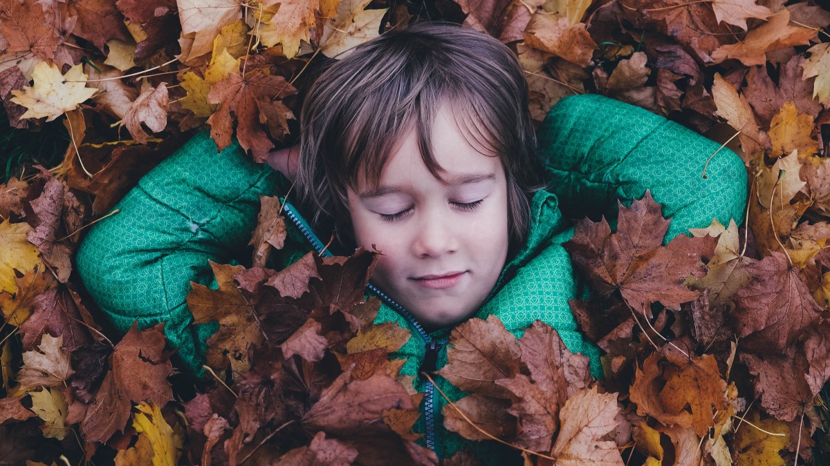 web-chlopiec-liscie-jesien-beztroska-unsplash-cc0