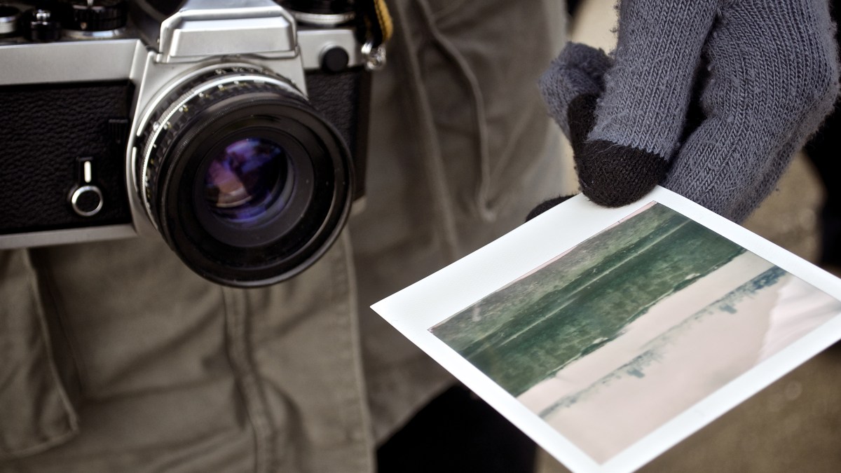 web-zdjecie-aparat-dlon-fotograf-unsplash-cc0