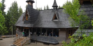 Królowa Tatr mieszka na Wiktorówkach! [zdjęcia]