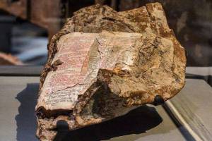 Biblia, która wyłoniła się spod gruzów World Trade Center