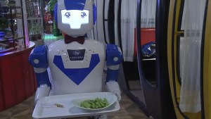 WEB ROBOT WAITER FUTURE SCIENCE