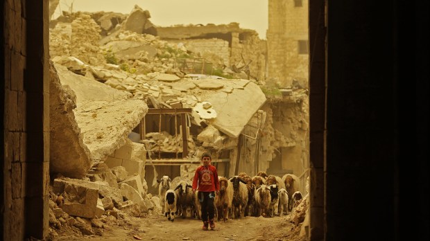 WEB SYRIA CONFLICT BOY SHEEP WAR