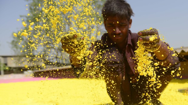 INDIA-RELIGION-HINDU-HOLI