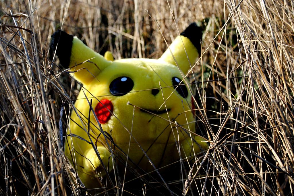 Pokemon Go Poll