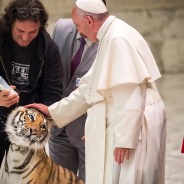 Stickers Item image #8