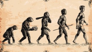 WEB EVOLUTION DARWIN HUMAN © Man_Half-tube