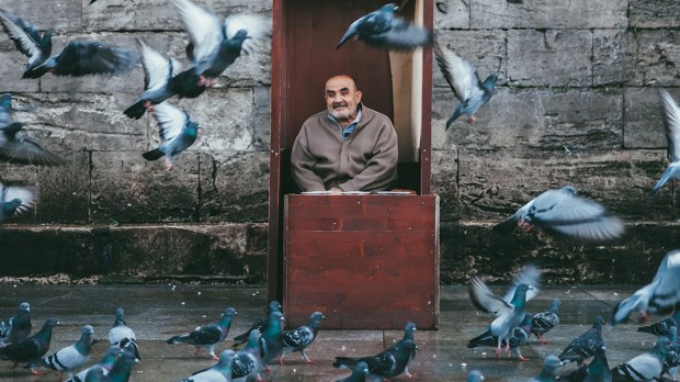 web3-old-man-sitting-dove-city-street-unsplash-cc0