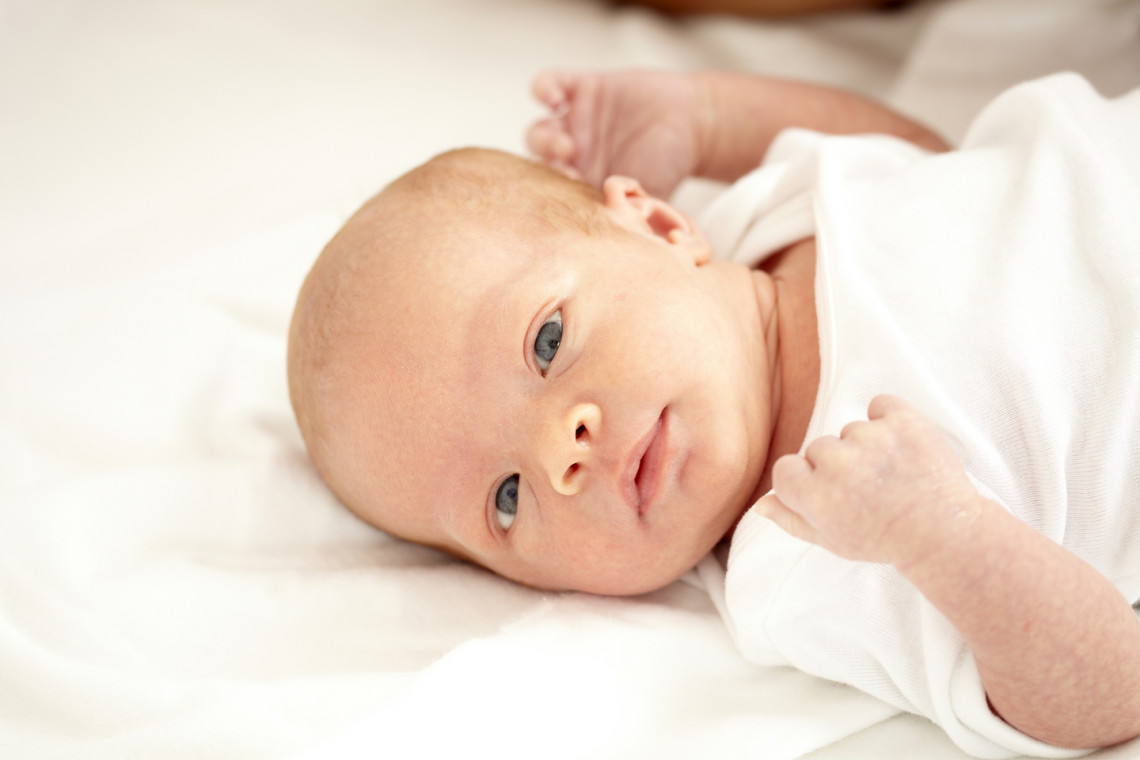 shutterstock_33360730