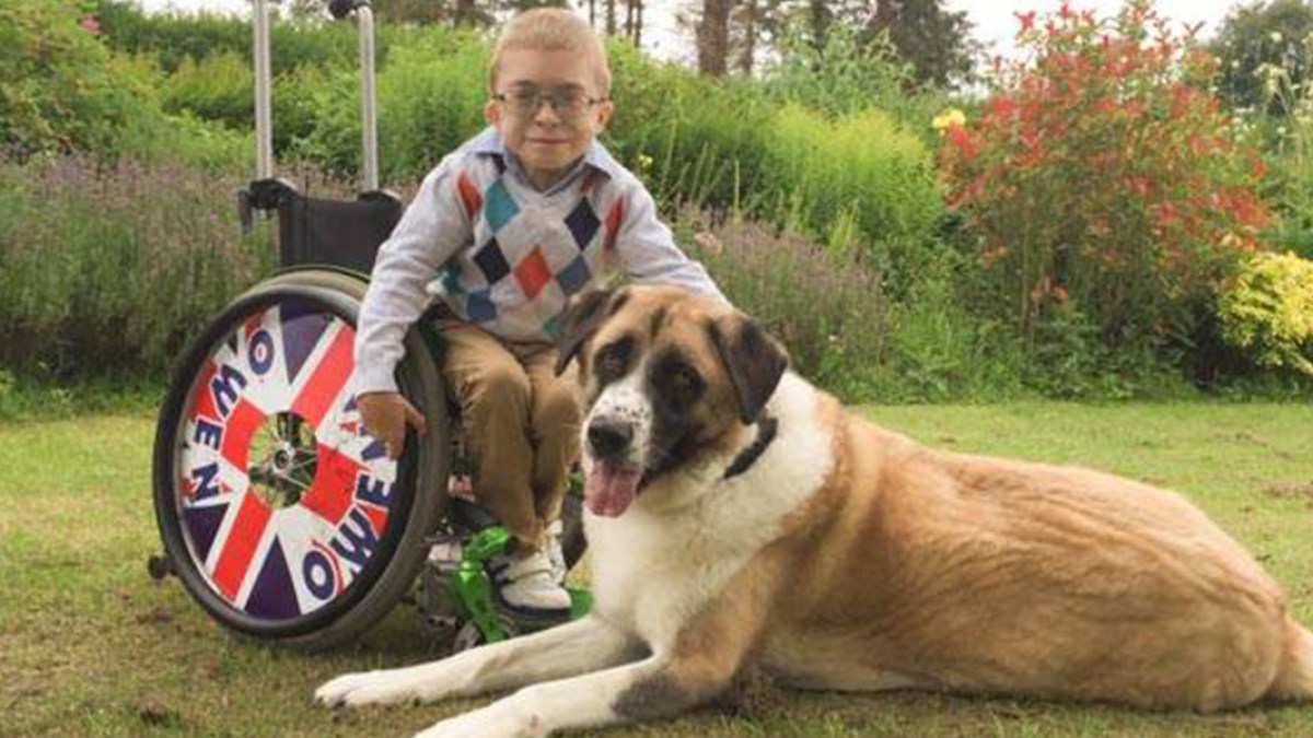 web3-haatchi-boy-disabled
