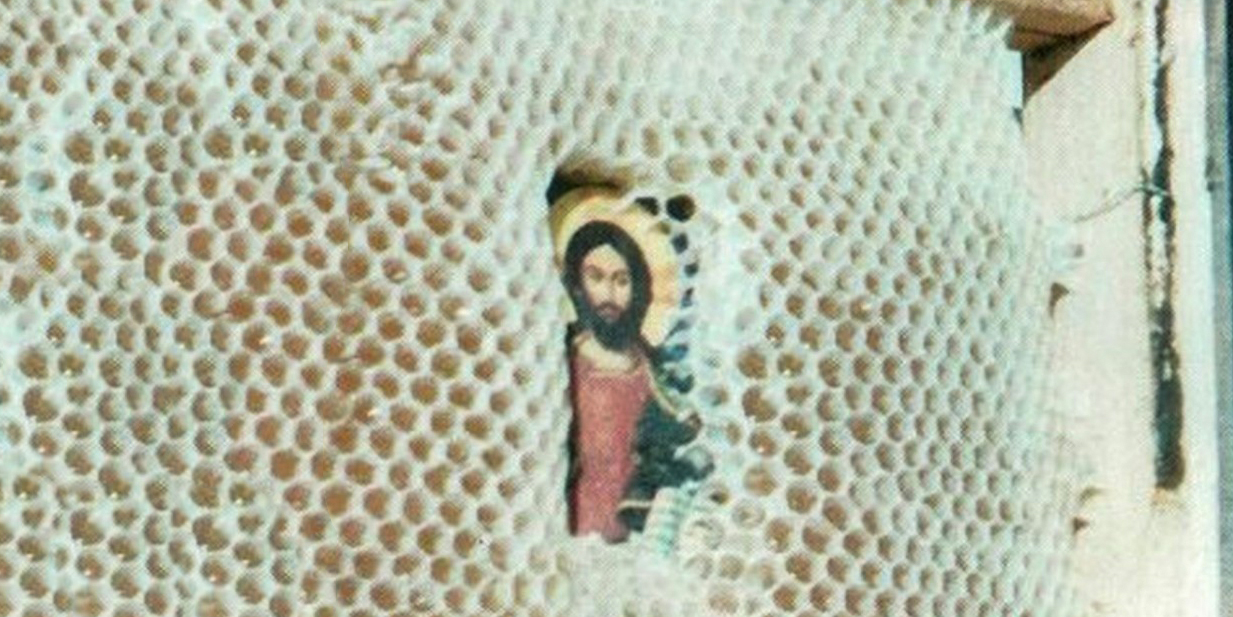 Tajemnica pszczół, które chronią ikony [ZDJĘCIA]
