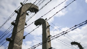 Druty kolczaste w obozie Auschwitz