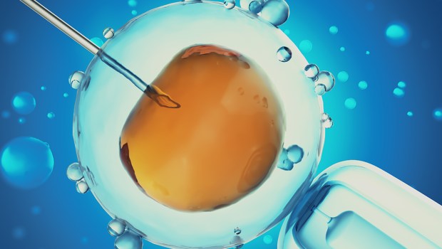 Grafika 3D prezentująca proces in-vitro