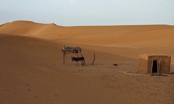 Maroko: 3828 km. pustyni