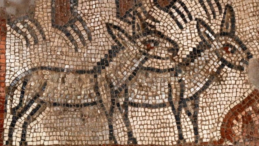 Najwcześniejsze mozaiki Jonasza znalezione w izraelskiej synagodze z V wieku