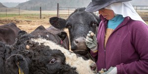 Benedyktyńska reguła w praktyce