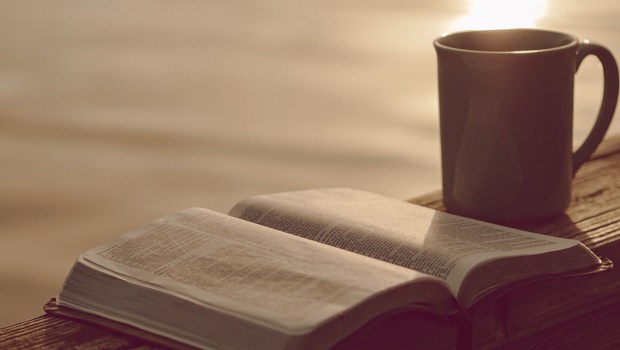 BIBLE