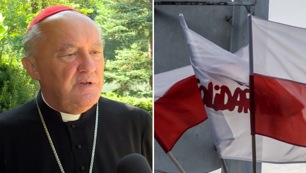 KARDYNAŁ KAZIMIERZ NYCZ