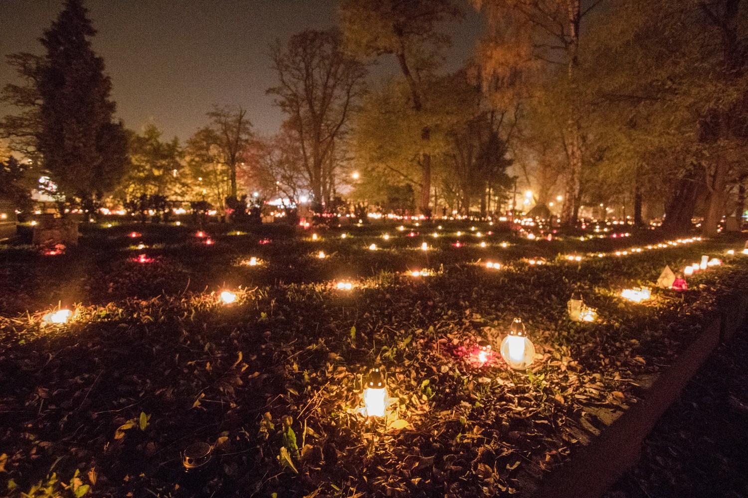 ROZŚWIETLONY CMENTARZ NOCĄ