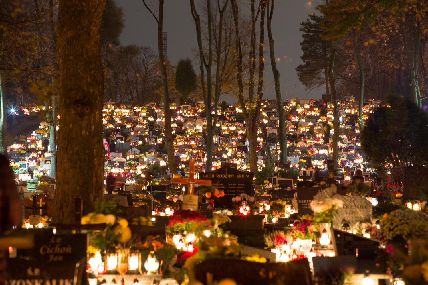 ROZŚWIETLONY CMENTARZ NOCĄ