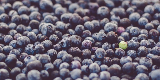 BLUEBERRY