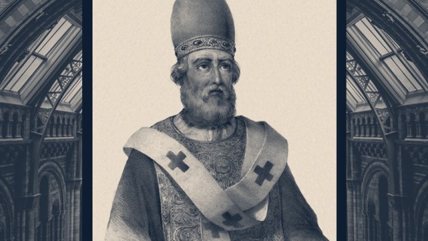 DAMASUS