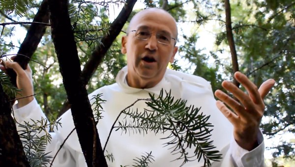 OJCIEC WOJCIECH PRUS DOJRZAŁA NIEDOJRZAŁOŚĆ