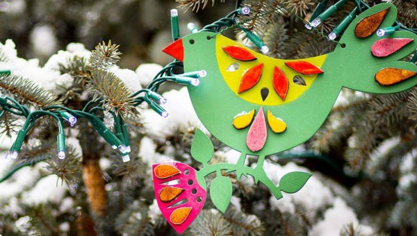 CHOINKA FRANCISZKA, JAWORZNO