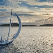 Stickers Item image #4