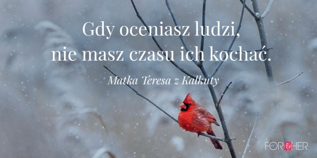Cytat Matka Teresa