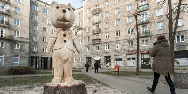 MIŚ USZATEK W WARSZAWIE