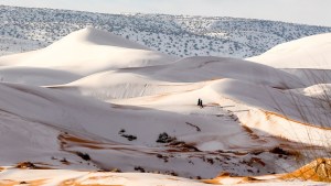 ŚNIEG NA SAHARZE