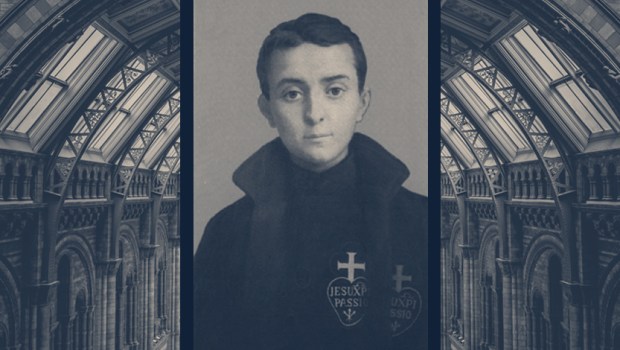 GABRIEL-OF-OUR-LADY-OF-SORROWS