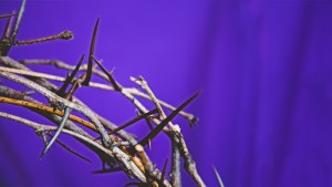 CROWN OF THORNS,GOOD FRIDAY,LENT