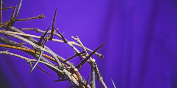 CROWN OF THORNS,GOOD FRIDAY,LENT