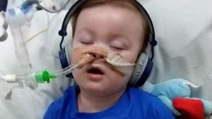 ALFIE EVANS