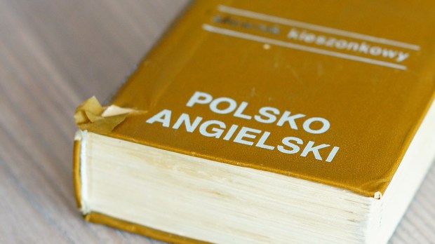 SŁOWNIK