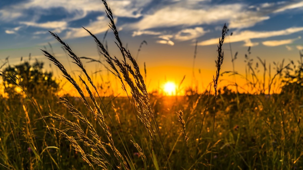 summer-2391348_960_720