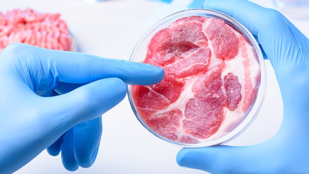 MIĘSO W LABORATORIUM