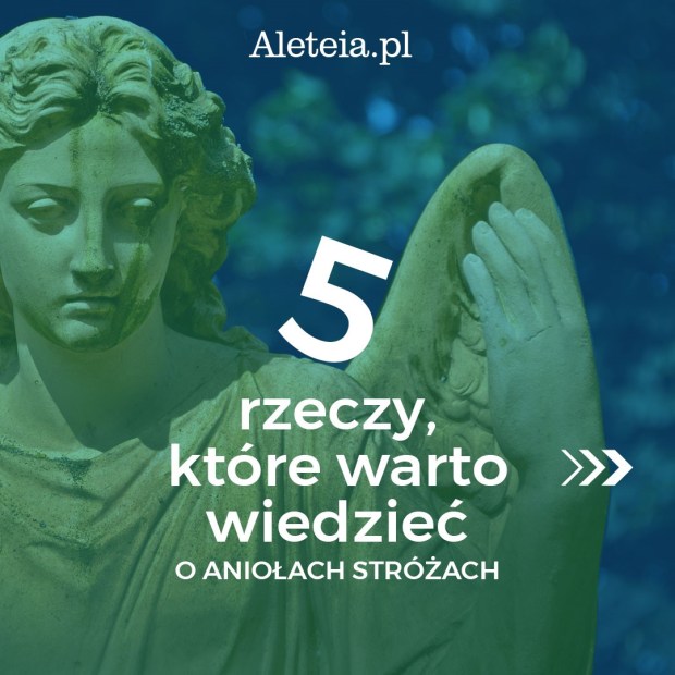 {"rendered":"Obrazkowy przewodnik po \u015bwiecie Anio\u0142\u00f3w Str\u00f3\u017c\u00f3w. Co trzeba o nich wiedzie\u0107"}