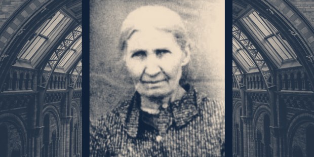 MARIANNA BIERNACKA