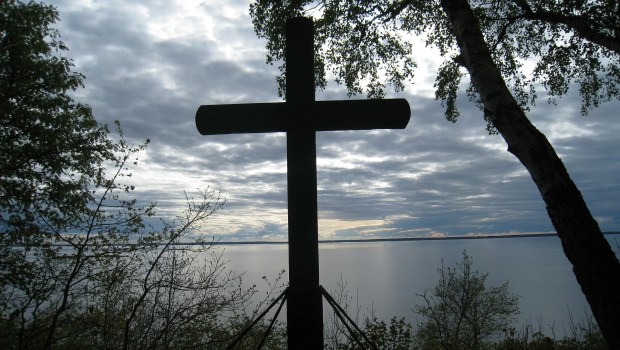 CROSS TREE