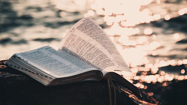 BIBLE